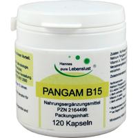 Pangam Vitamin B15 null