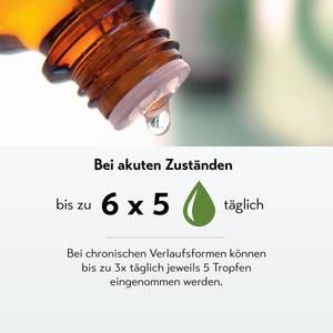 Erfahrungen mit Deseo - 25 Kundenbewertungen | onfy.de 04876657