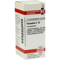 Pulsatilla C12