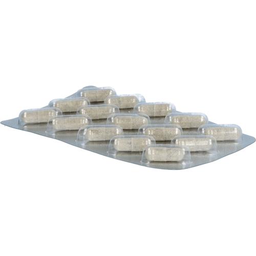 Glycowohl Eisen-Komplex Duodenal 40 mg + Vitamin C 90 St Heilpflanzenwohl bei onfy.de kaufen 19745369