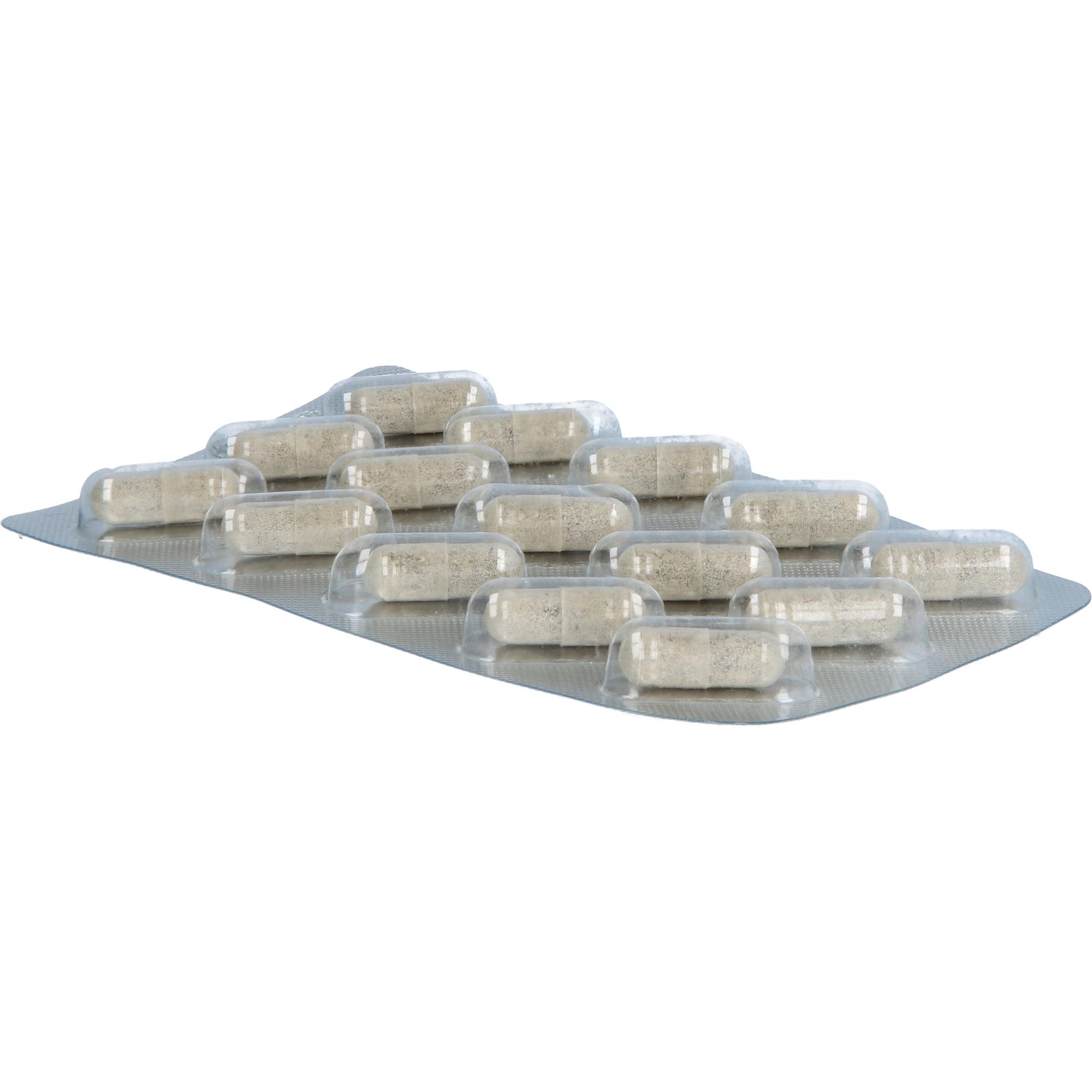 Glycowohl Eisen-Komplex Duodenal 40 mg + Vitamin C 90 St Heilpflanzenwohl bei onfy.de kaufen 19745369
