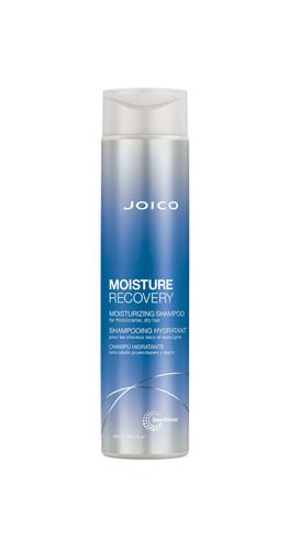 JOICO Moisture Recovery Shampoo 300 ml