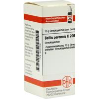 Bellis Perennis C200 null