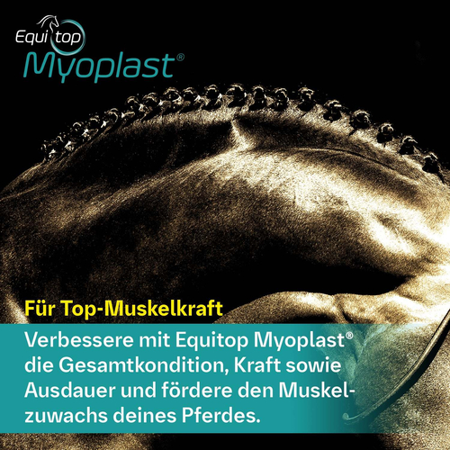 Equitop Myoplast Vet 1.5 kg Boehringer Ingelheim VETMEDICA bei onfy.de kaufen 00714857