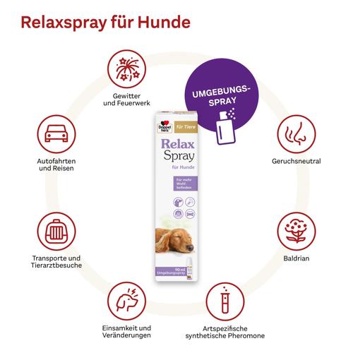 Doppelherz für Tiere Relaxspray für Hunde 90 ml Queisser Pharma bei onfy.de kaufen 18404695