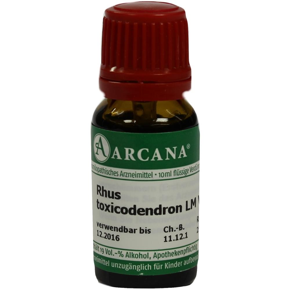 Rhus Toxicodendron Lm 6 null