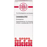 Lavandula D12 null
