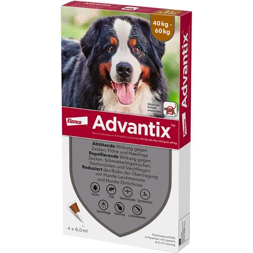 Advantix Spot-On Hund40-60 4x6.0 ml Elanco Deutschland Gmbh bei onfy.de kaufen 14018400