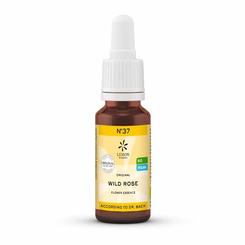 Bachbluete 37 Wild Ros Bio 20 ml Hager Pharma bei onfy.de kaufen 10310888