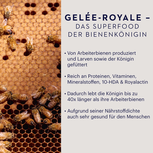Manuka Health Mgo 400+ Manuka Honig & Royal Jelly 250 g Hager Pharma bei onfy.de kaufen 20062670