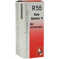 Ruta Gastreu N R55 null