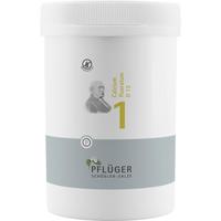Biochemie Pflüger Nr. 1 Calcium Fluoratum D 12 null