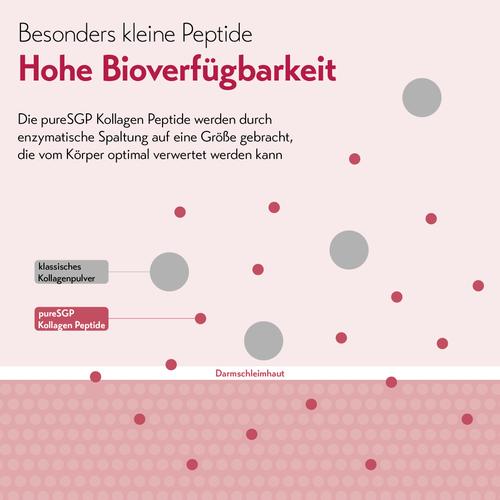 Puresgp Kollagen Peptide 600 g PharmaSGP bei onfy.de kaufen 20009322