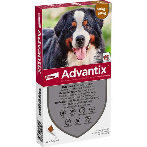 Advantix Spot-On Hund40-60 4x6.0 ml Elanco Deutschland Gmbh bei onfy.de kaufen 14018400