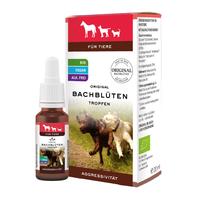Bachblüten Tiere Tropfen Aggressivität null