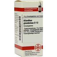 Ailanthus Gland D12 null