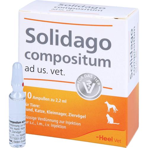 Solidago Comp Ad Us Vet 10 St Biologische Heilmittel Heel Gmbh bei onfy.de kaufen 01219864