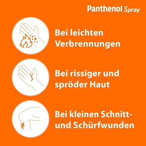 Panthenol 130 g Dr. Gerhard Mann bei onfy.de kaufen 04020784