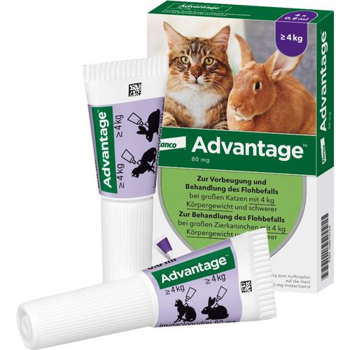 Advantage 80mg Katz+Zierka 4x0.8 ml Elanco Deutschland Gmbh bei onfy.de kaufen 09670104