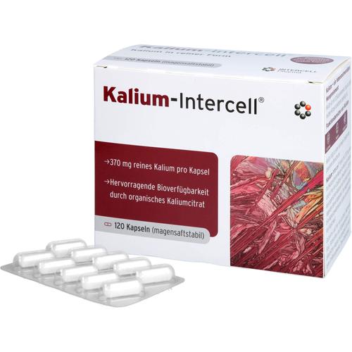 Kalium-Intercell 120 St INTERCELL-Pharma bei onfy.de kaufen 19275691