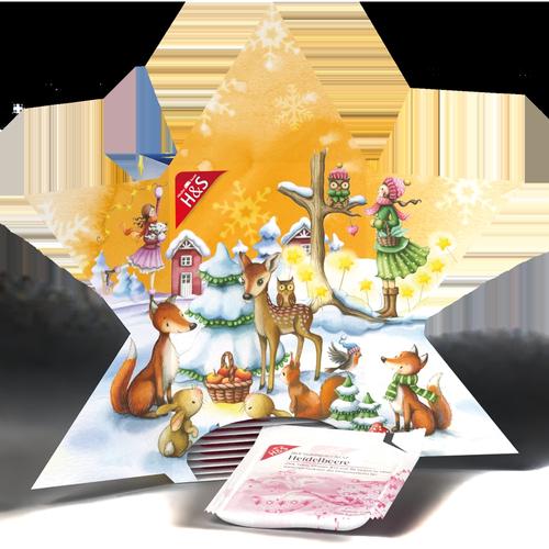 H&S Adventskalender Stern 24 St H&S Tee - Gesellschaft bei onfy.de kaufen 19268001