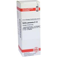 Bellis Perennis D12 null
