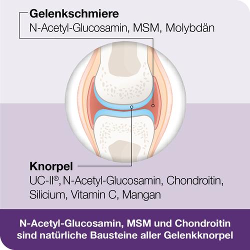 Flexiloges Knorpel Aktiv 120 St Dr. Loges bei onfy.de kaufen 18784611