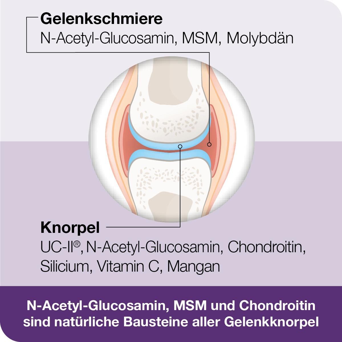 Flexiloges Knorpel Aktiv 240 St Dr. Loges bei onfy.de kaufen 18784628
