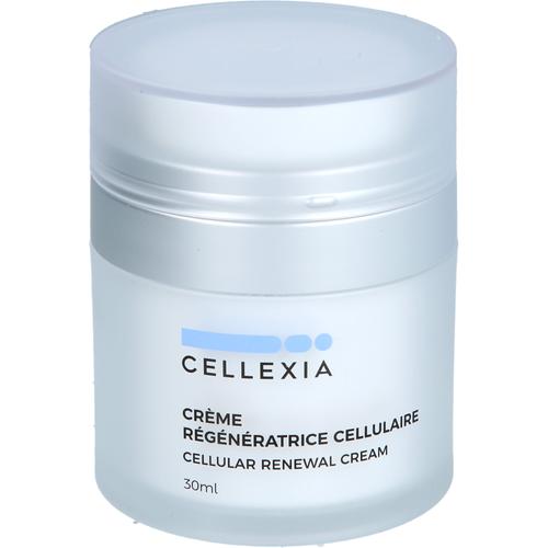 Cellexia Zellerneuerungscreme 30 ml CELLEXIA LIMITED bei onfy.de kaufen 19492282