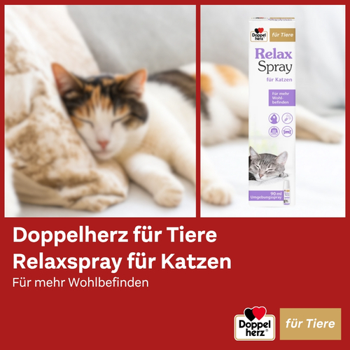 Doppelherz für Tiere Relaxspray für Katzen 90 ml Queisser Pharma bei onfy.de kaufen 18404689
