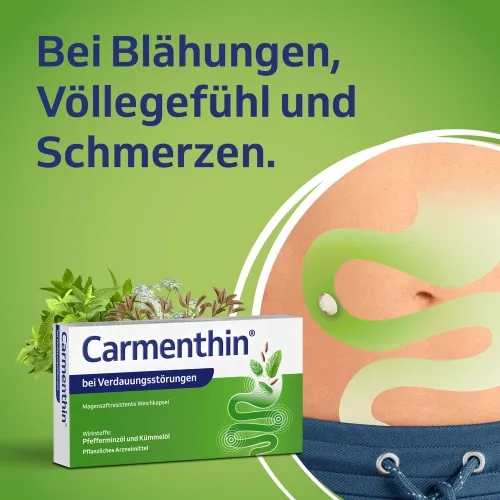 Carmenthin bei Verdauungsstörungen Weichkapsel 42 St Dr.Willmar Schwabe bei onfy.de kaufen 10327618