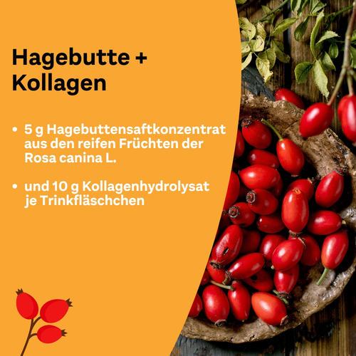 Litozin Hagebutte+kollagen 30x25 ml Queisser Pharma bei onfy.de kaufen 11138061