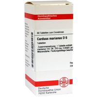 Carduus Mar D 6 null