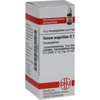 Serum Anguillae D12 null