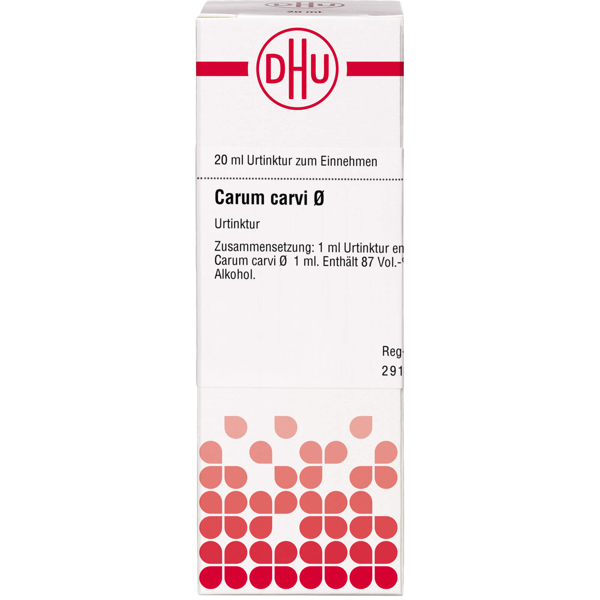 Carum Carvi Urt D 1 20 ml DHU-Arzneimittel bei onfy.de kaufen 07163395