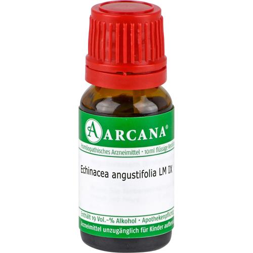 Echinacea Angustifolia Lm 9 10 ml ARCANA Dr. Sewerin bei onfy.de kaufen 12843904