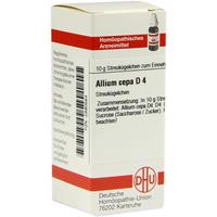 Allium Cepa D 4 null