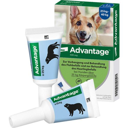 Advantage 400 Hund Pipette 1x4 St Elanco Deutschland Gmbh bei onfy.de kaufen 00334178