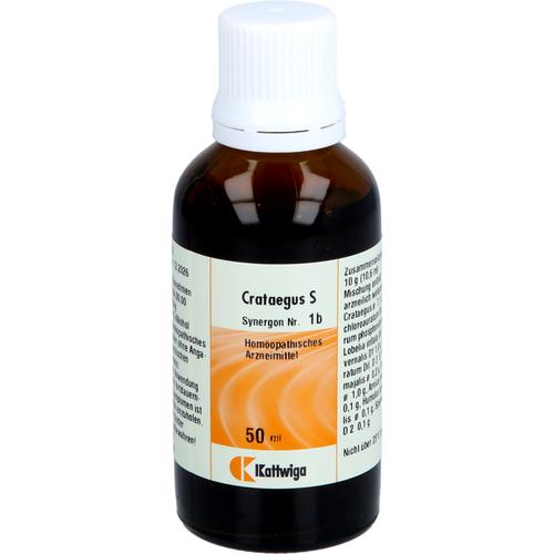Synergon Komplex Crataegus S Nr. 1B 50 ml Kattwiga Arzneimittel bei onfy.de kaufen 19184741