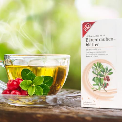 H&S Baerentraubentee 20x2.7 g H&S Tee - Gesellschaft bei onfy.de kaufen 02286029