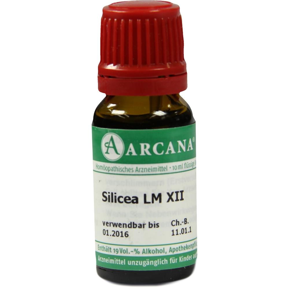 Silicea Arca Lm 12 null