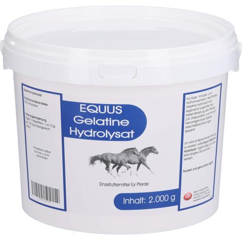 Gelatine Hydrolysat Equus Vet 2000 g Berco-ARZNEIMITTEL bei onfy.de kaufen 04992990
