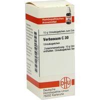 Verbascum C30 null