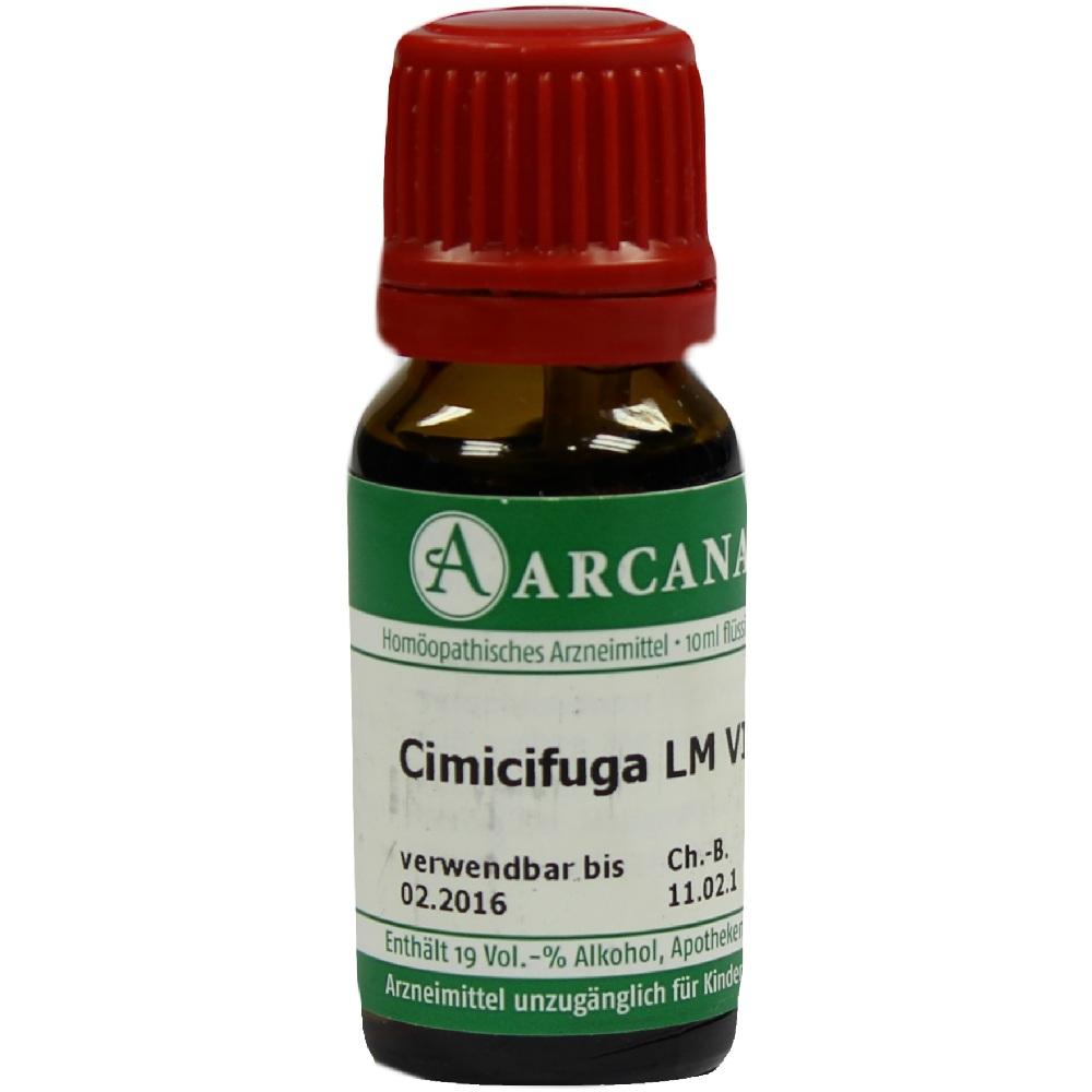 Cimicifuga Arca Lm 6 null