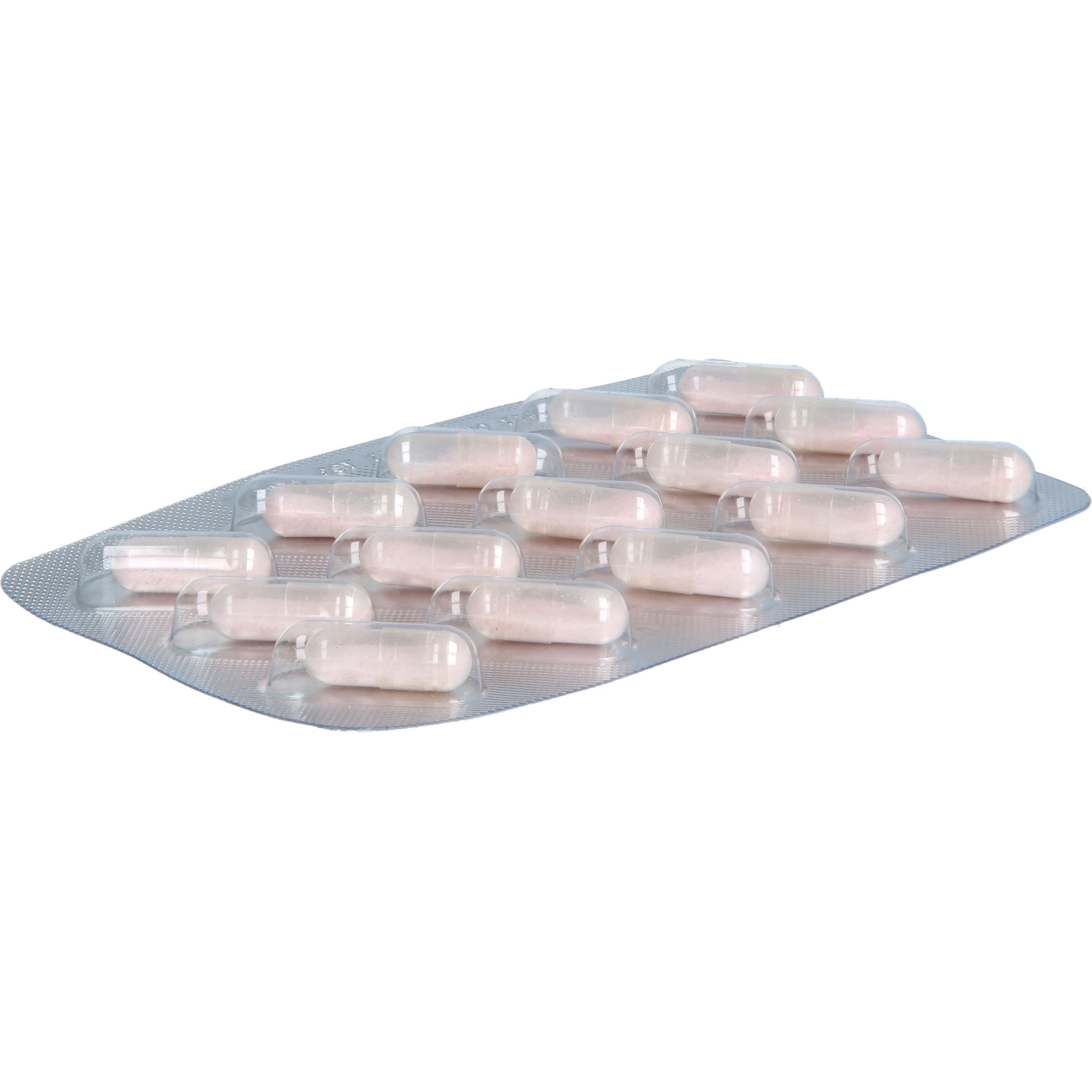 B12 Activ 1000Ug Kapseln 60 St Leitner Lifecare bei onfy.de kaufen 18458219