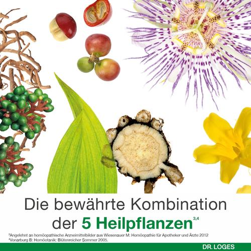 Dystologes 50 ml Dr. Loges bei onfy.de kaufen 13914428