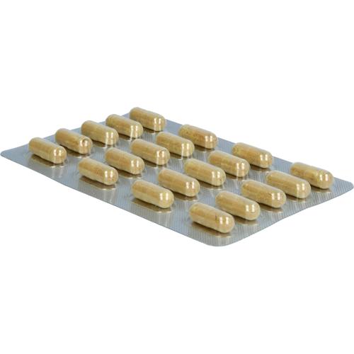 Orthodoc Quercetin Plus Vitamin C & Opc 60 St Kyberg Vital bei onfy.de kaufen 19152853