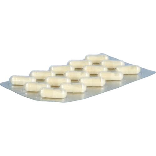 Beecraft Gelee Royale Kapseln mit Manuka-Honig 60 St Hansa Naturheilmittel bei onfy.de kaufen 19484443