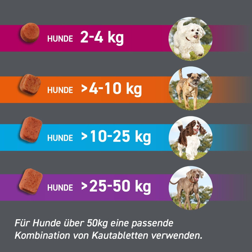 Frontpro Chew Hunde S Vet 3 St Boehringer Ingelheim Vetmedica Gmbh bei onfy.de kaufen 18654280