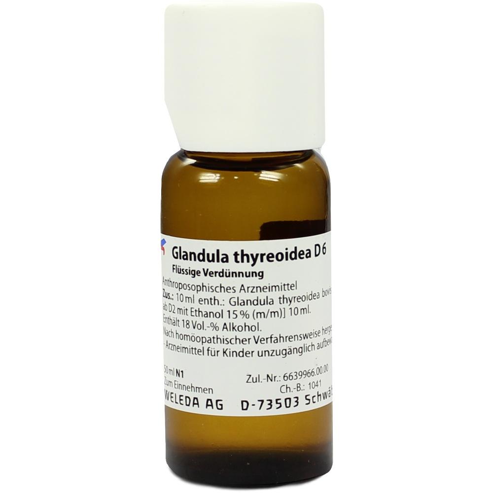 Glandula Thyreoidea D 6 null